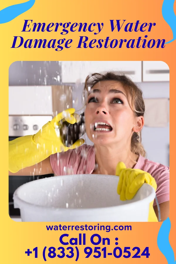 Emergency Water Damage Restoration in Taft, FL